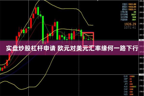 实盘炒股杠杆申请 欧元对美元汇率缘何一路下行