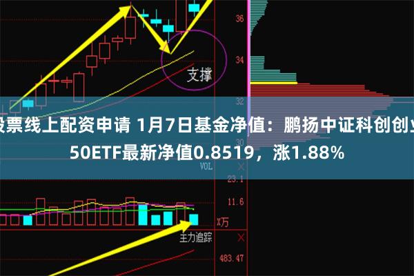 股票线上配资申请 1月7日基金净值：鹏扬中证科创创业50ETF最新净值0.8519，涨1.88%